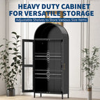 Metal Arched Storage Cabinet with Glass Doors - 73 inch