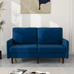 56.88 Modern Couch Velvet Loveseat Sofa for Living Room Furniture