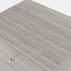 Grey Mid-Century Modern 2-Drawer Nightstand